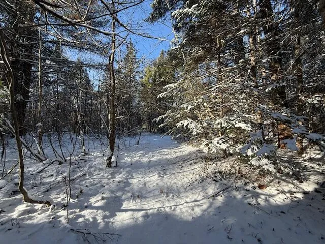 $114,900 | Lot 10 Us-1, Baileyville, ME 04694