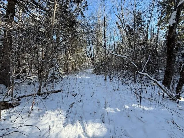 $114,900 | Lot 10 Us-1, Baileyville, ME 04694
