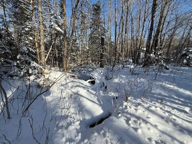 $114,900 | Lot 10 Us-1, Baileyville, ME 04694