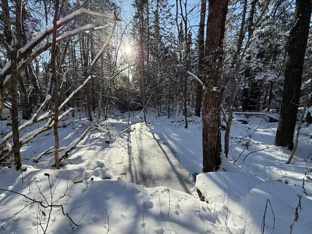 $114,900 | Lot 10 Us-1, Baileyville, ME 04694