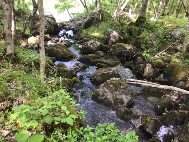 $114,900 | Lot 10 Us-1, Baileyville, ME 04694