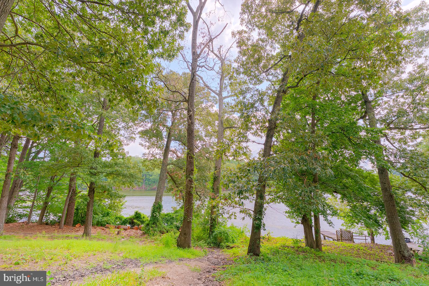 1211 Flamingo Road Salisbury, MD 21801 - Photo 44 of 63 Tranquil lakeside forest retreat