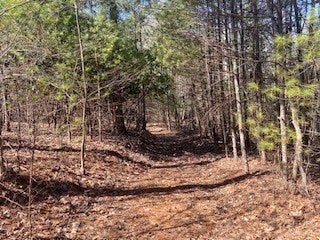 Tbd Lincoln Road, Unit 3 Galax, VA 24333 - Photo 46 of 64 Gallery Image 46