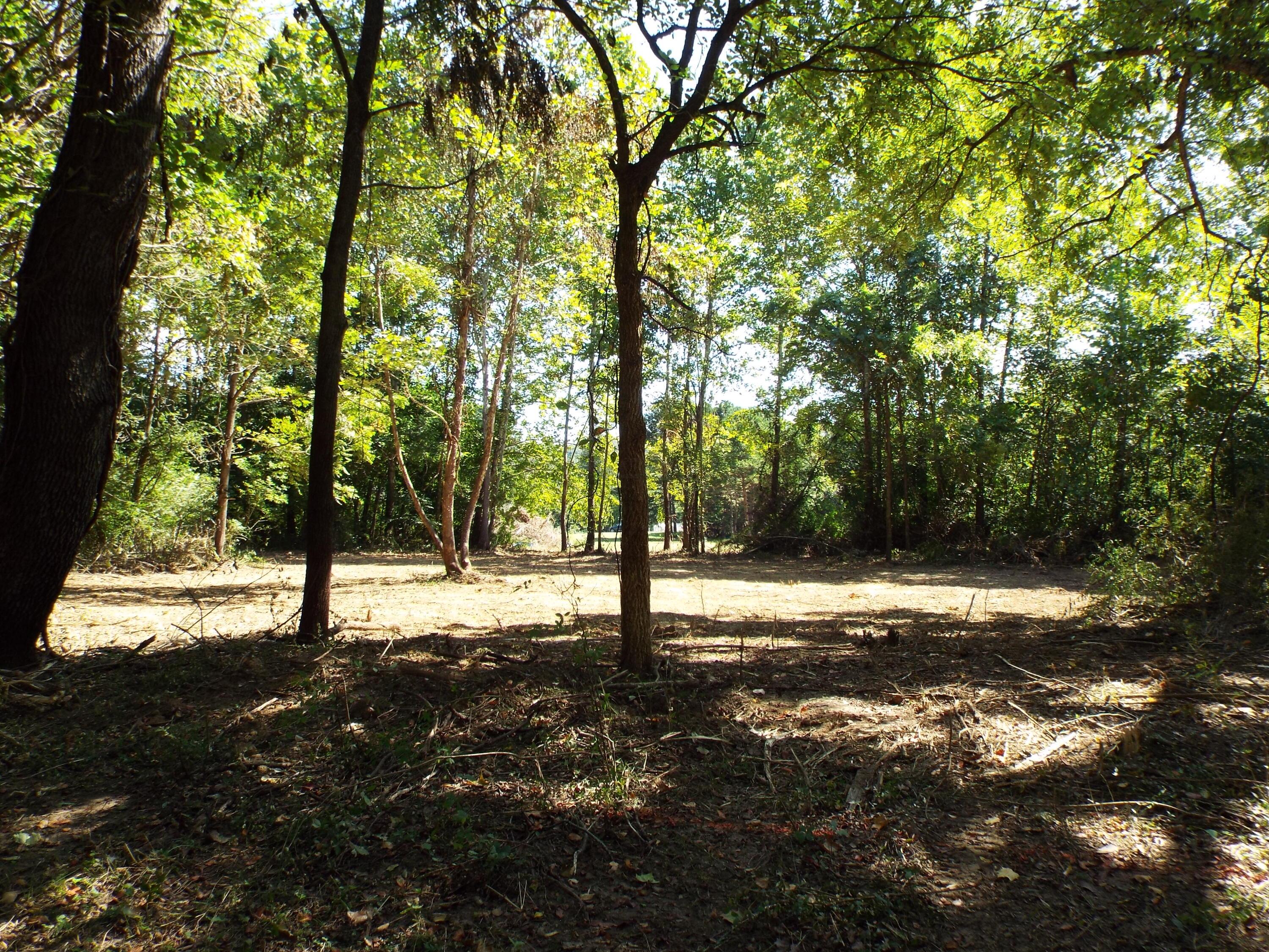 17687 Laurel Run Road Nelsonville, OH 45764 - Photo 16 of 20 Land