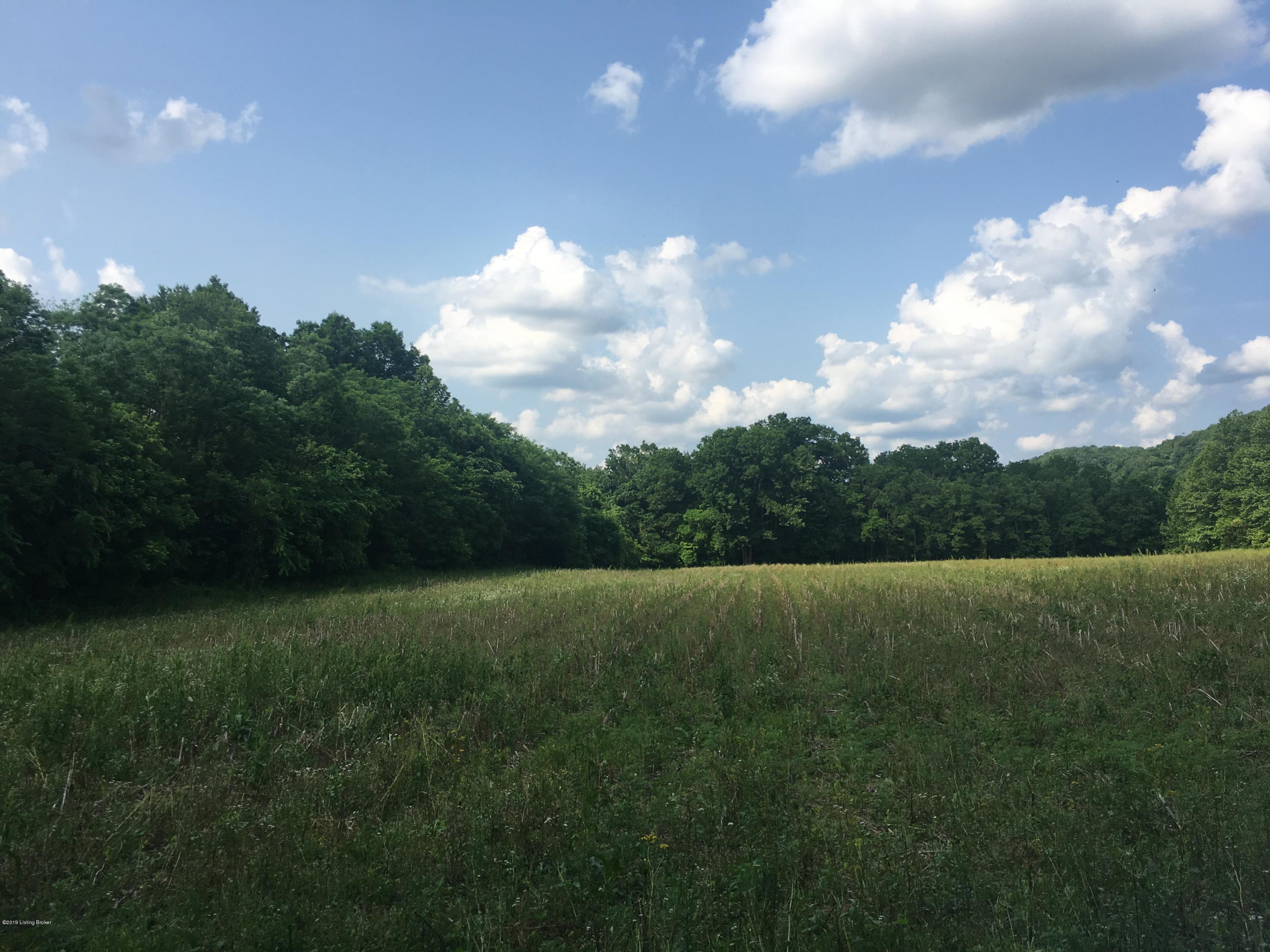 6 Mill Creek Road Carrollton, KY 41008 - Photo 21 of 29 IMG_3933