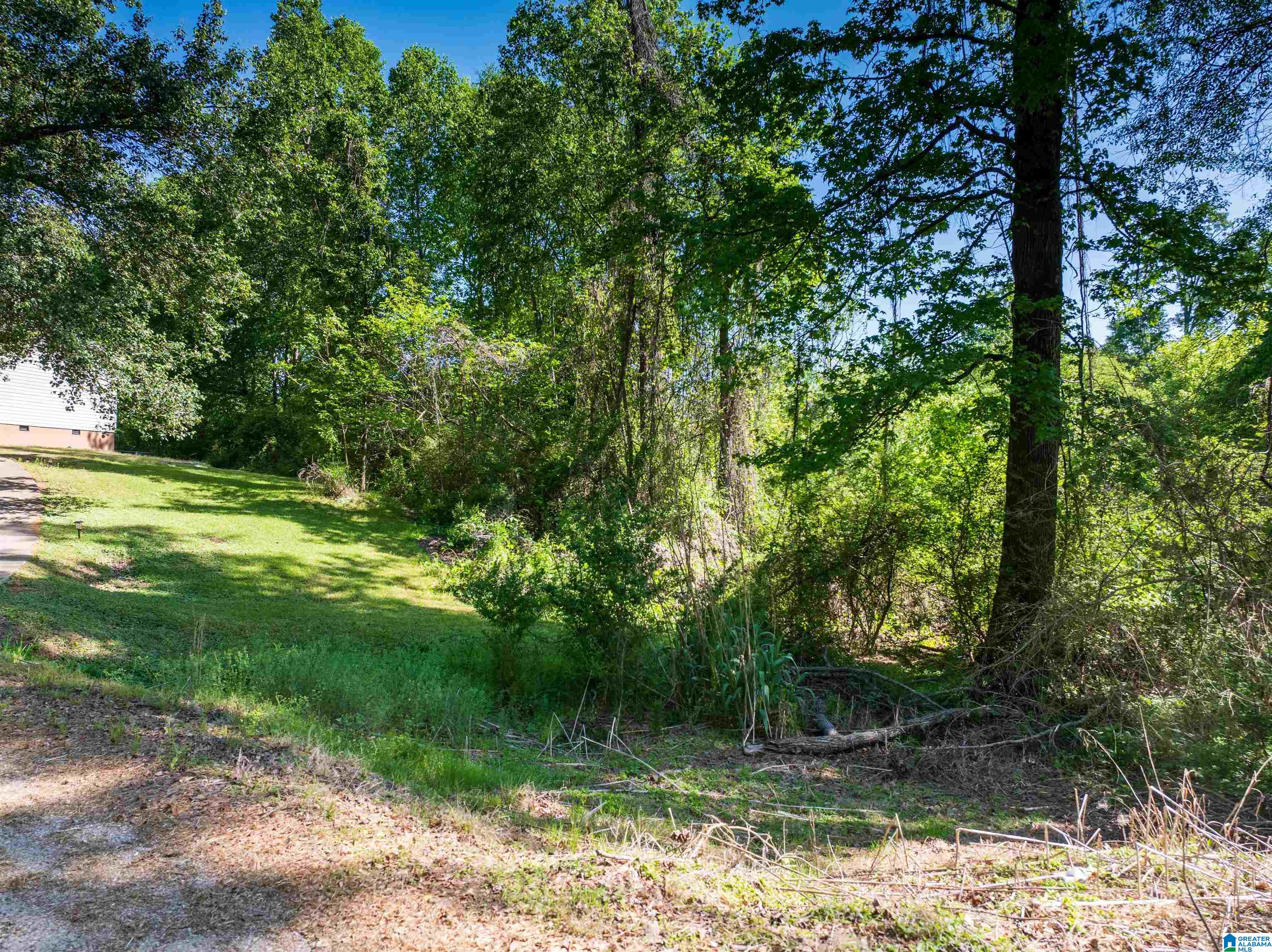 Off Of Joe Brackett Road, Unit X Jasper, AL 35504 - Photo 5 of 26