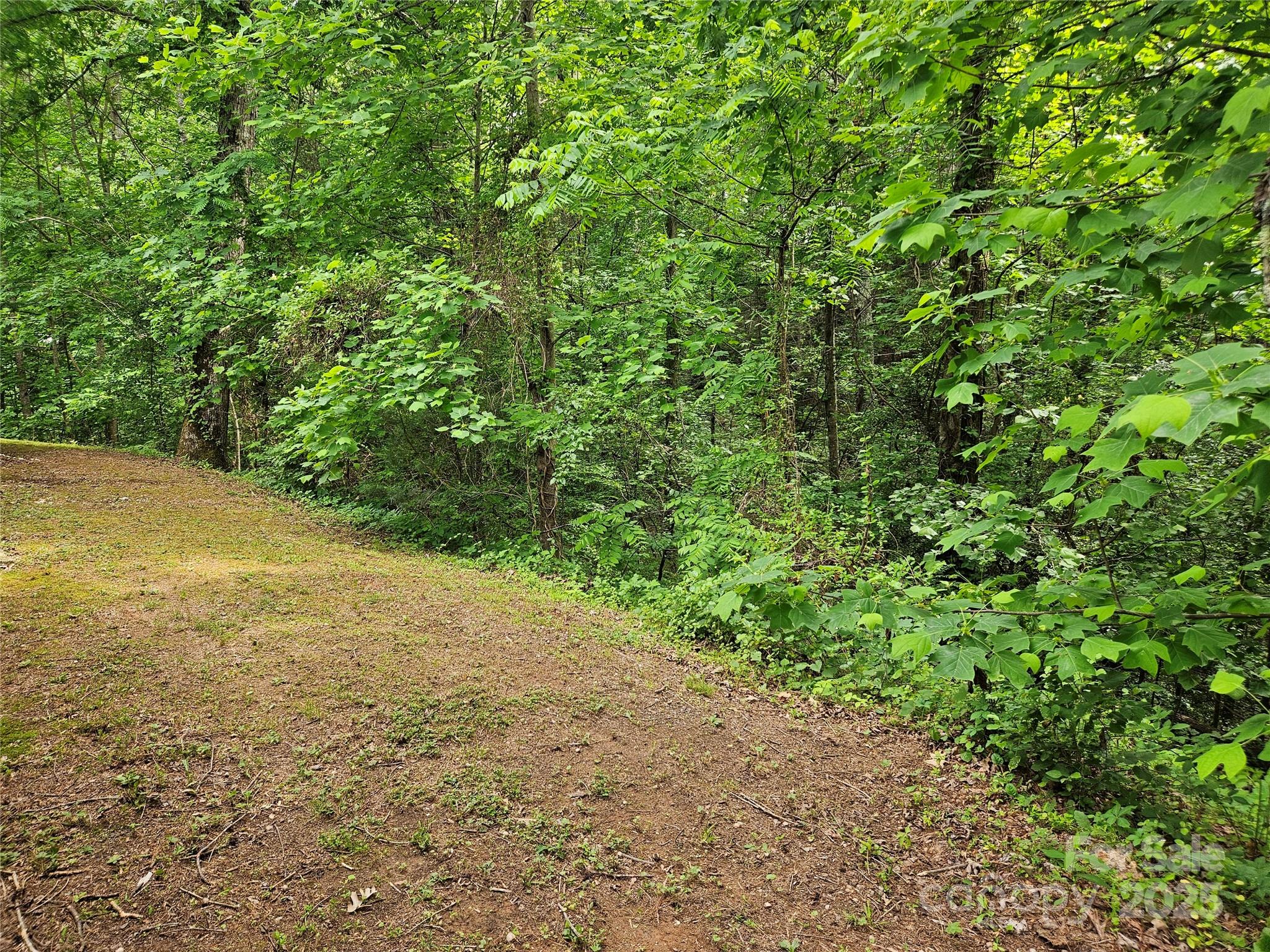 3191 Piedmont Road Morganton, NC 28655 - Photo 35 of 36 Gallery Image 35