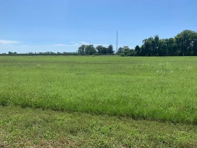 314 Farm Lane Alexandria, LA 71302 - Photo 1 of 2