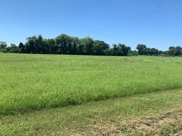 314 Farm Lane Alexandria, LA 71302 - Photo 2 of 2