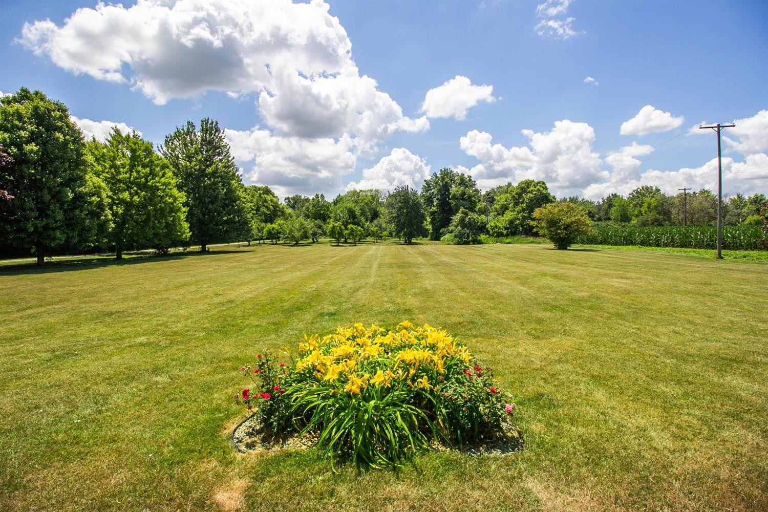 668 Mooreville Road Milan, MI 48160 - Photo 4 of 75 Photo 4
