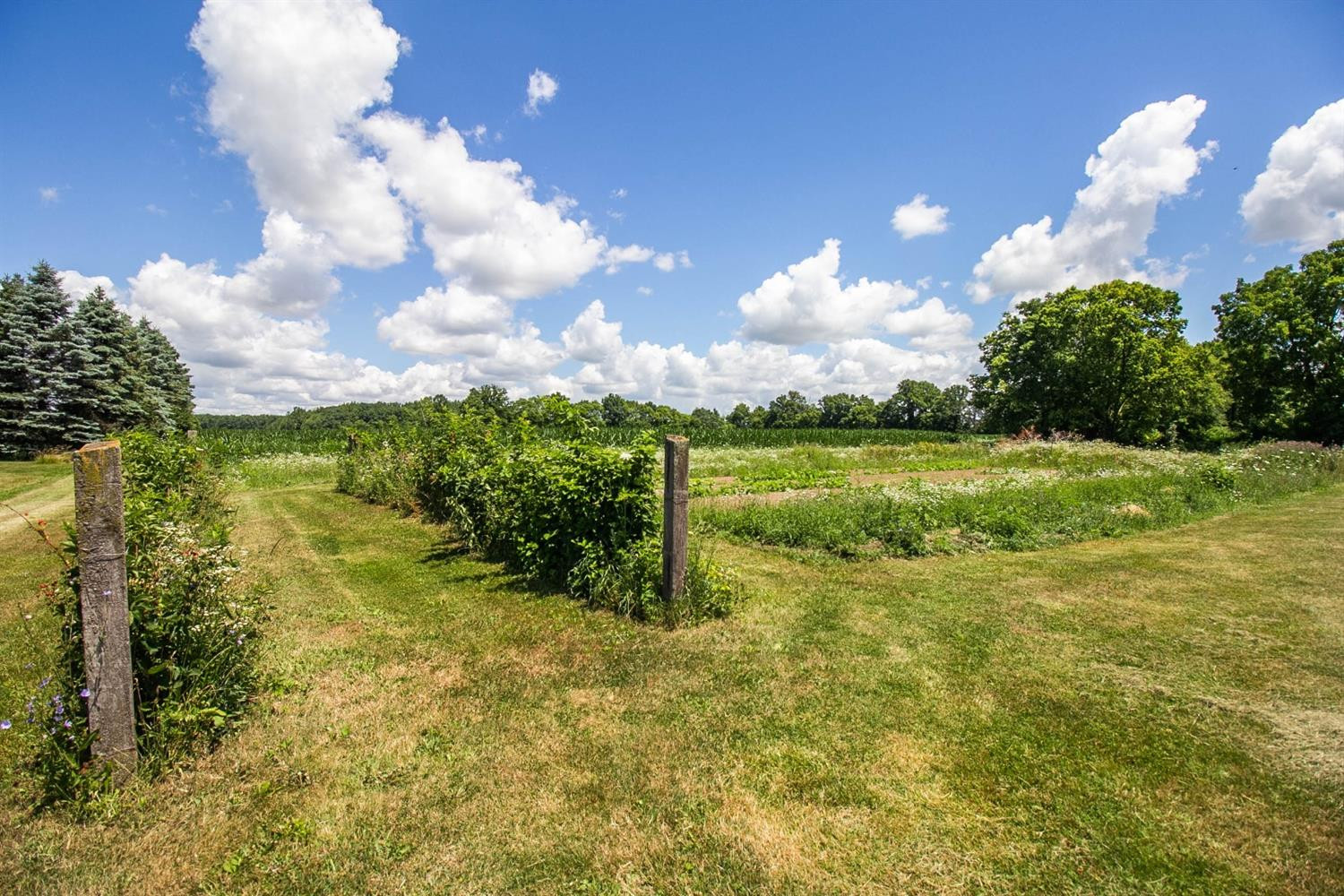 668 Mooreville Road Milan, MI 48160 - Photo 59 of 75 Photo 60