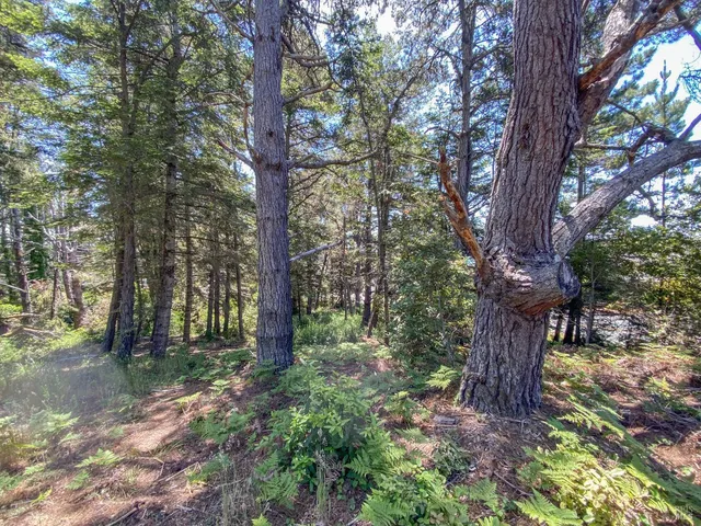 $345,000 | 39001-39051 Cypress Way, Gualala, CA 95445