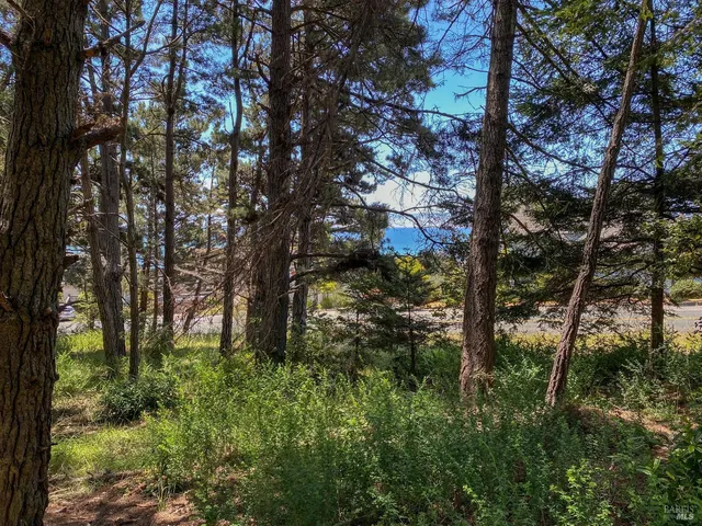 $345,000 | 39001-39051 Cypress Way, Gualala, CA 95445