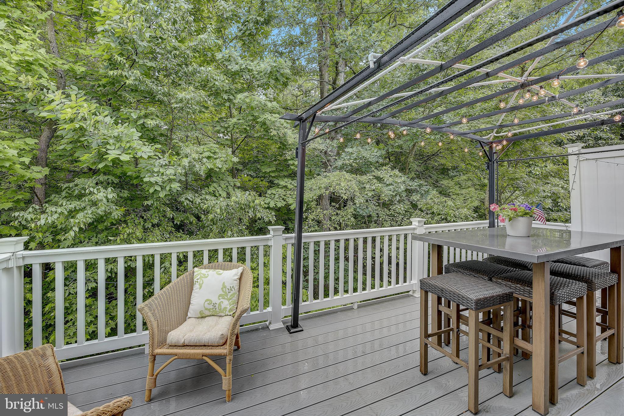 9933 Veiled Dawn Laurel, MD 20723 - Photo 20 of 46 Deck