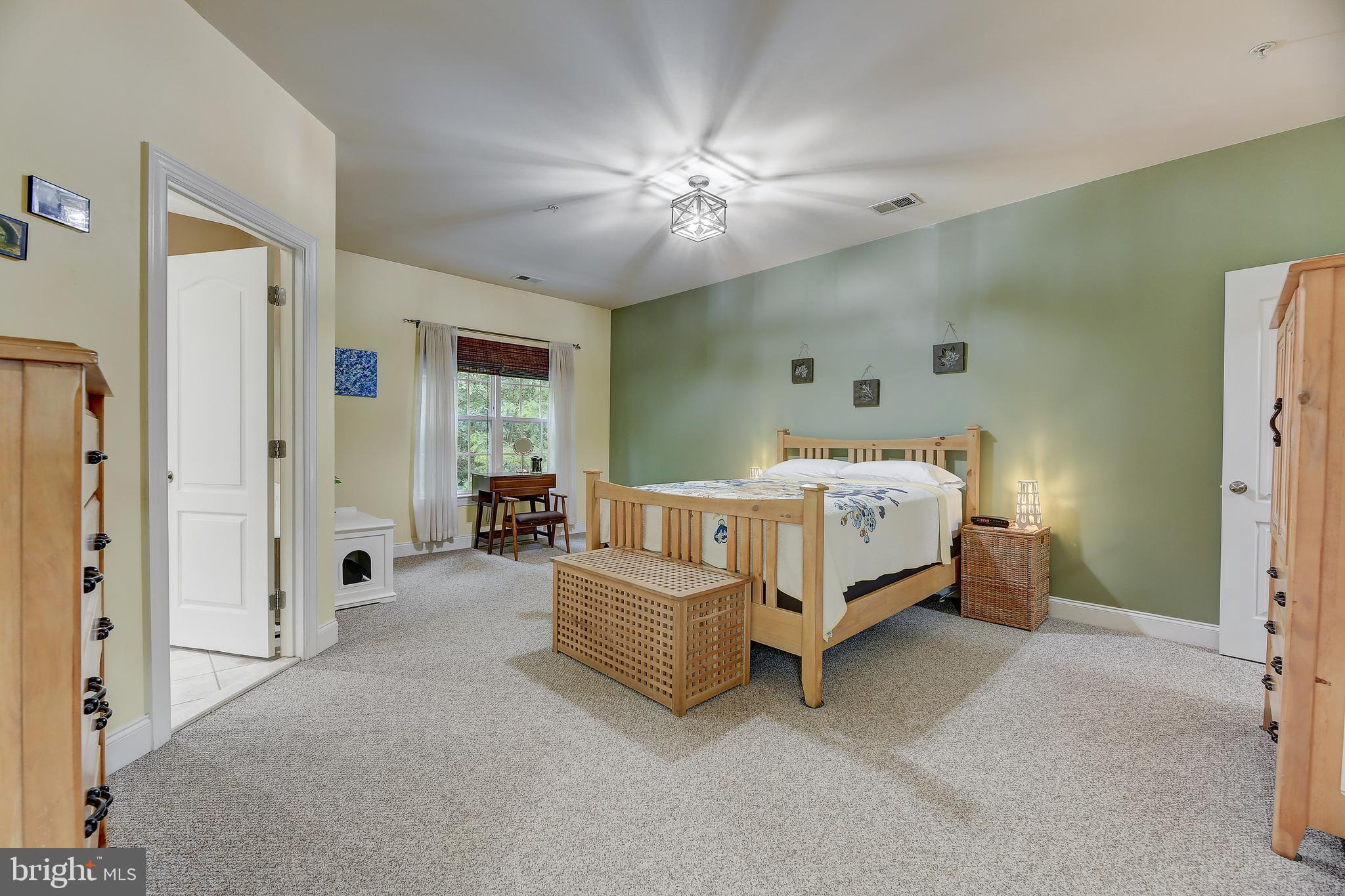 9933 Veiled Dawn Laurel, MD 20723 - Photo 28 of 46 Primary Bedroom