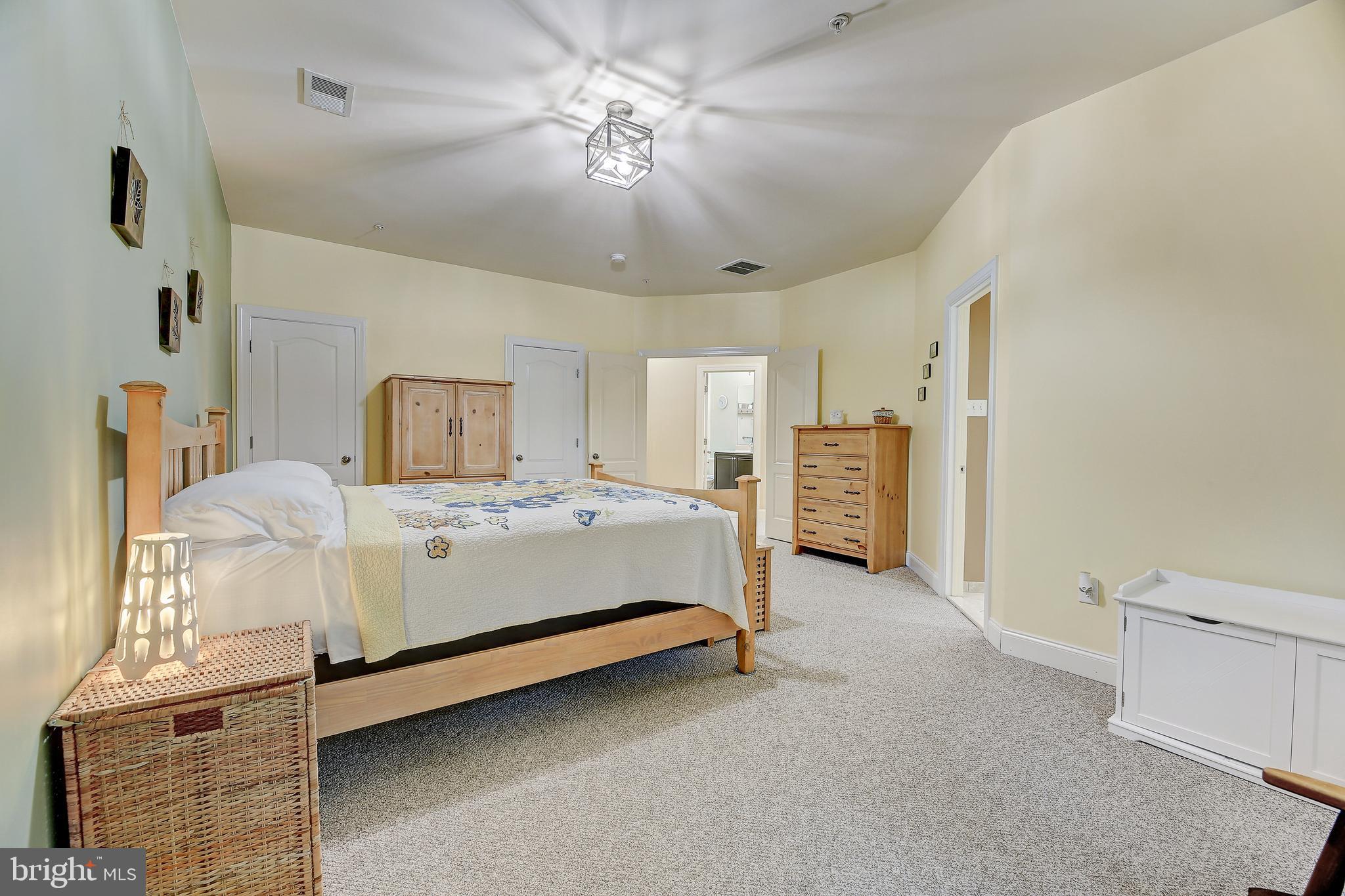 9933 Veiled Dawn Laurel, MD 20723 - Photo 29 of 46 Primary Bedroom