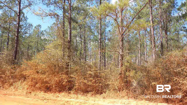 43 10 Mile Road Pensacola, FL 32534 - Photo 25 of 27