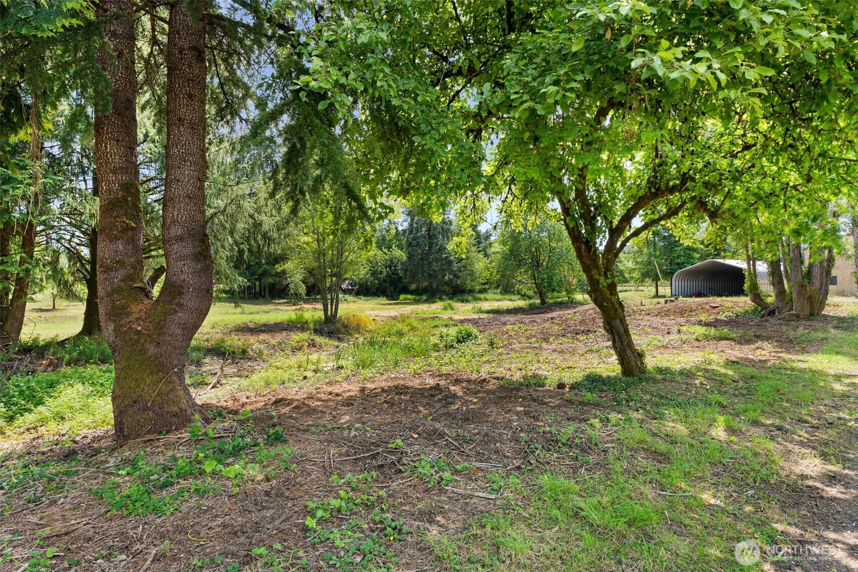 1608 SR 6 Raymond, WA 98577 - Photo 8 of 12 a view of a yard with a tree
