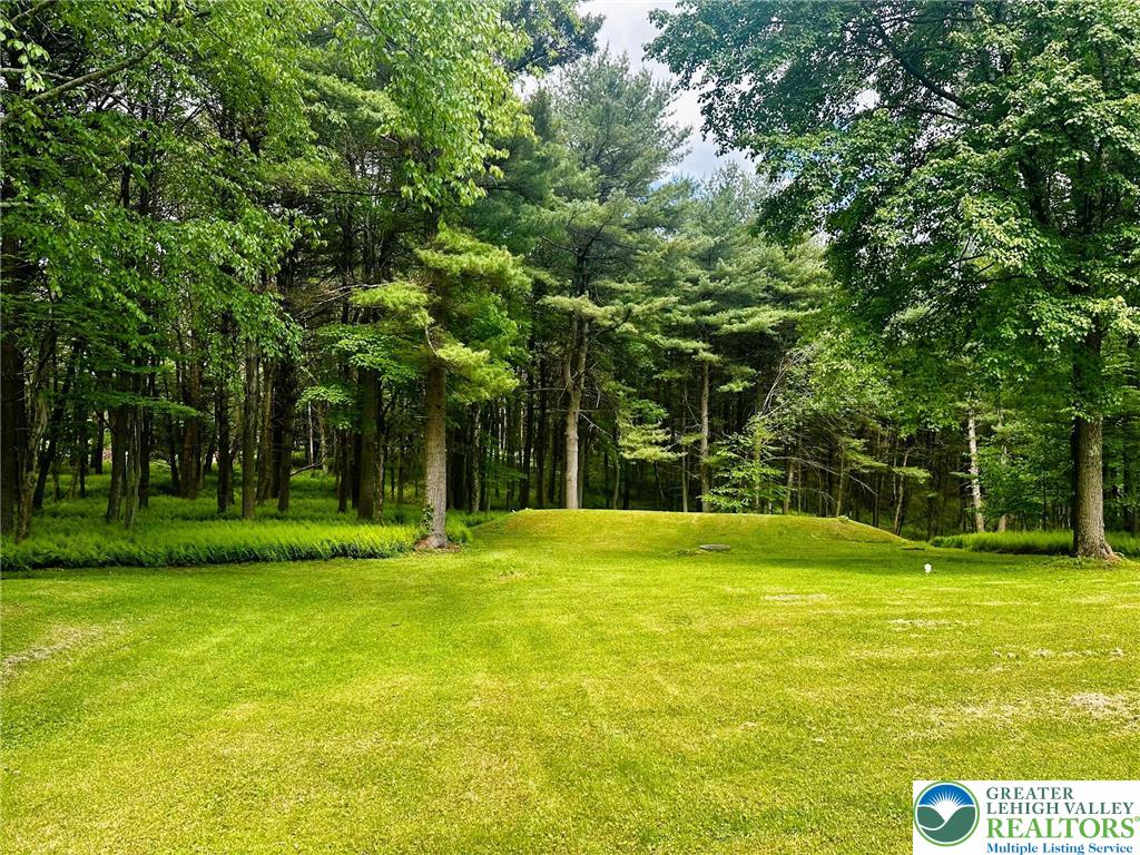 93 Sassafras Road Lehighton, PA 18235 - Photo 52 of 67 Peaceful, spacious backyard