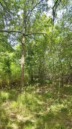 $154,999 | 6266 Turkey Oak, Royse City, TX 75189