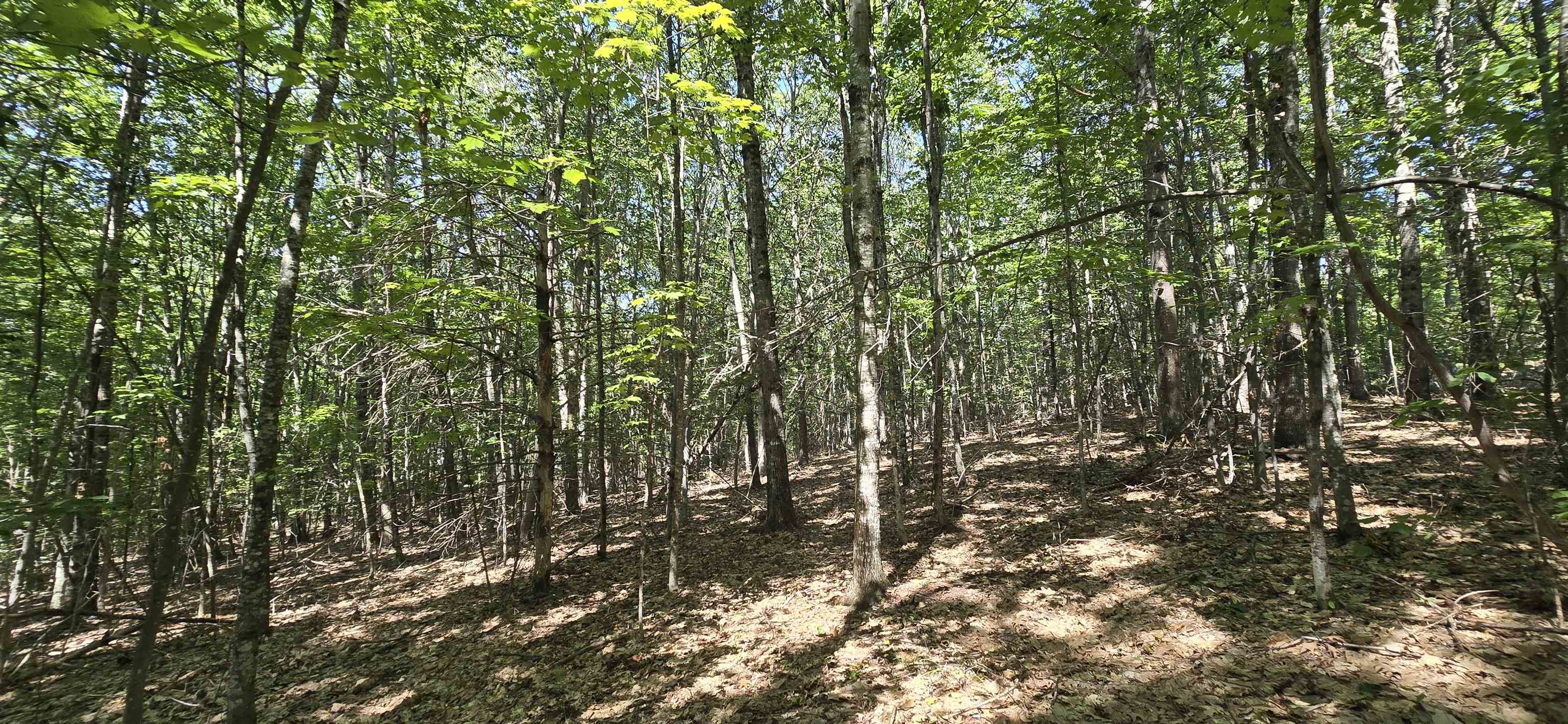 406-19 Guinea Ridge Road Gilmanton, NH 03237 - Photo 13 of 13 Gallery Image 13