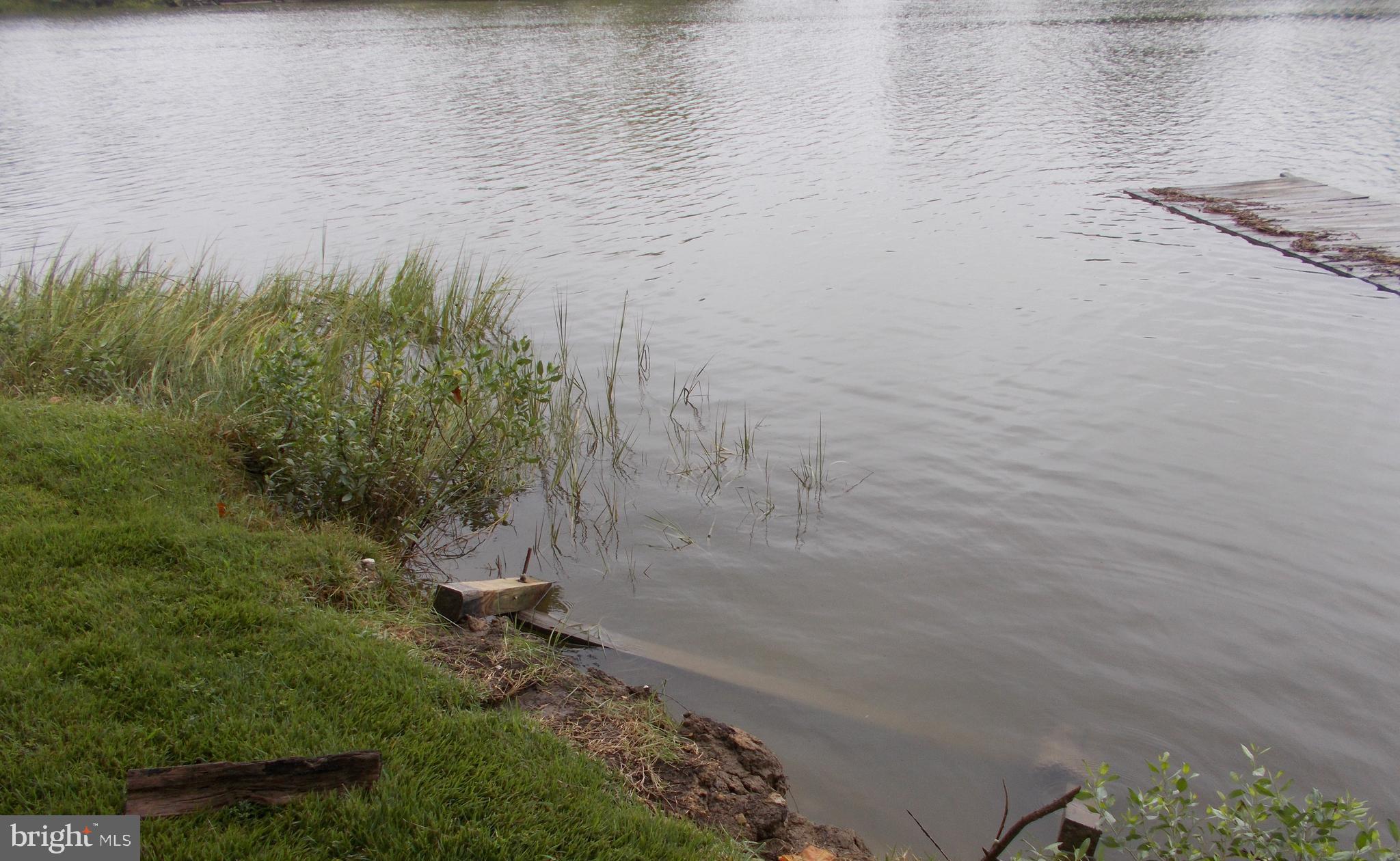 21410 Springfield Road Bushwood, MD 20618 - Photo 30 of 47 View of the water