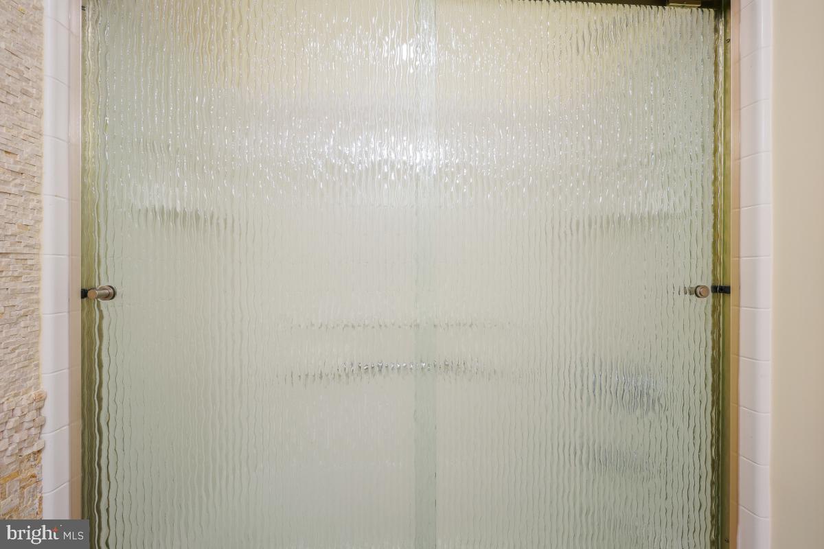 3100 North Leisure World Boulevard, Unit 603 Silver Spring, MD 20906 - Photo 24 of 49 a close up of a shower