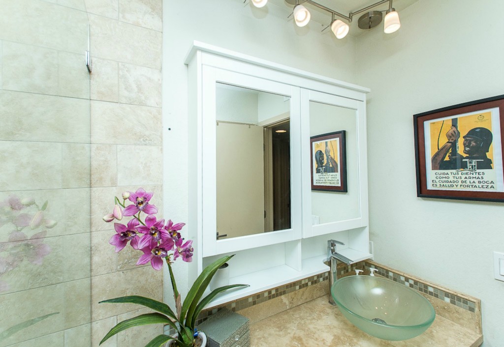 41 Waller Street, Unit 308 Austin, TX 78702 - Photo 21 of 34 a bathroom with a granite countertop sink a mirror and a shower