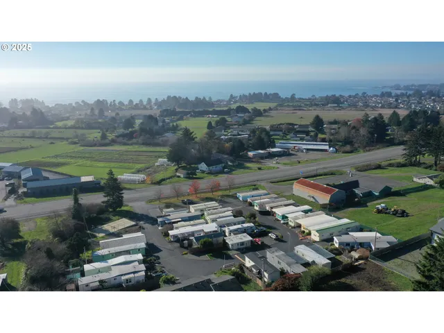 a picture of city view with lots of trees
