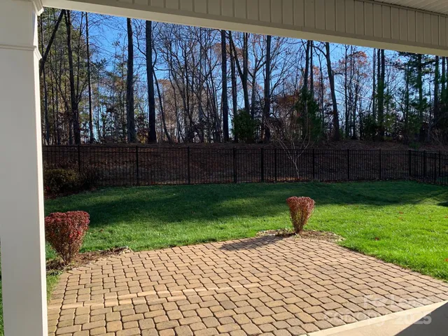a view of a backyard with plants and large tree