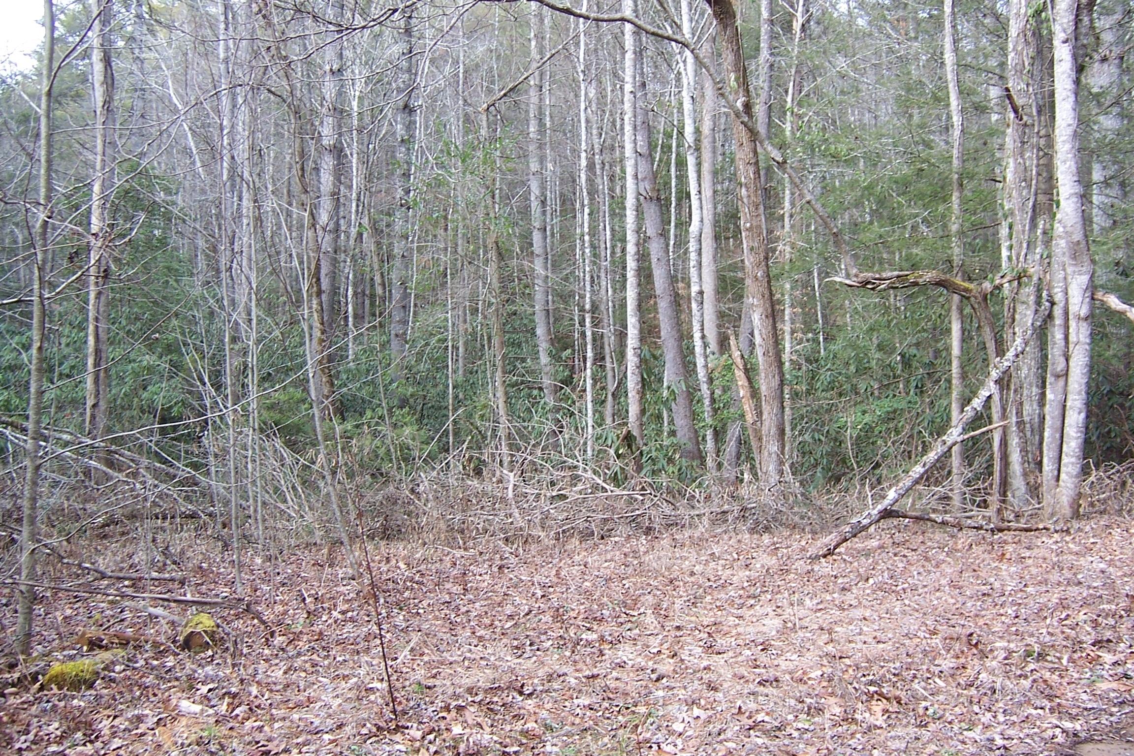 1857 Walnut Flats Road Walland, TN 37886 - Photo 1 of 8 5 acre lot in Saddle Ridge