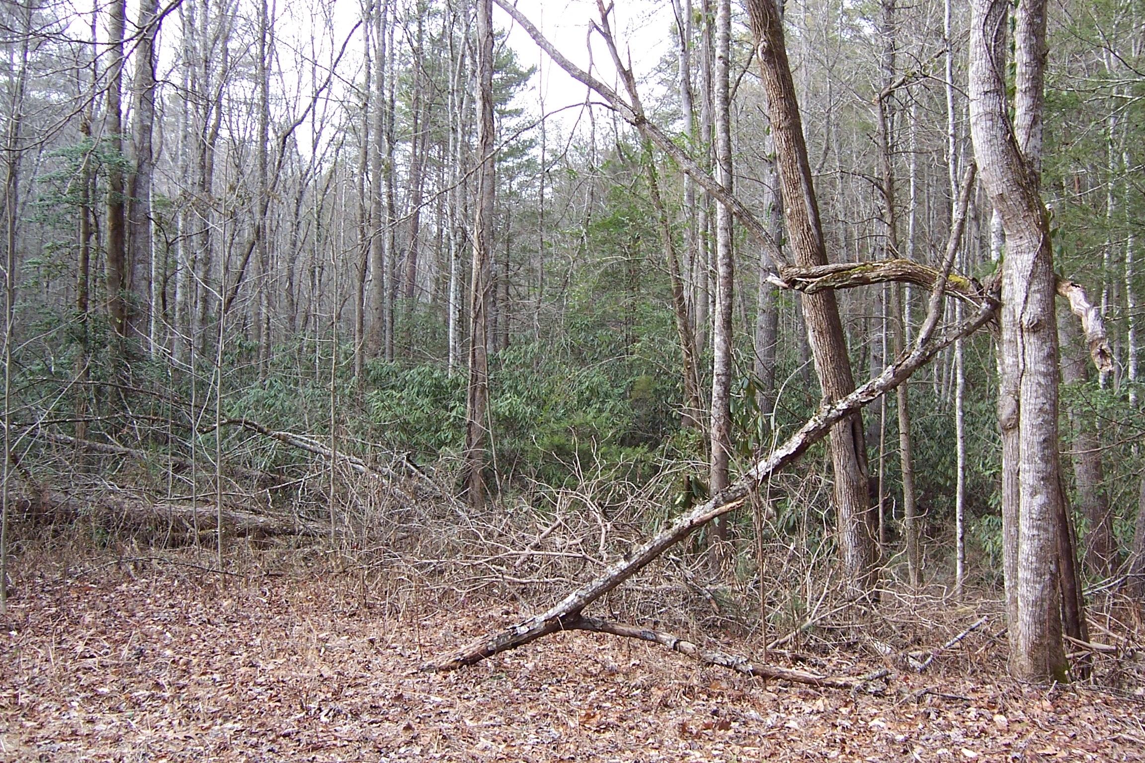 1857 Walnut Flats Road Walland, TN 37886 - Photo 2 of 8 corner lot