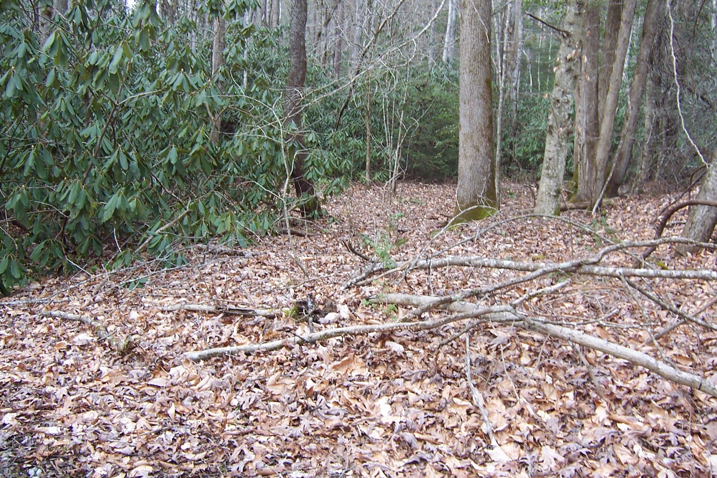 1857 Walnut Flats Road Walland, TN 37886 - Photo 6 of 8 nestled in heart of Saddle Ridge