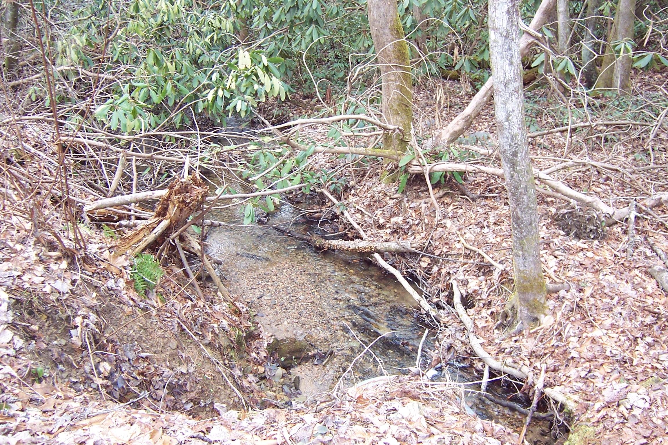 1857 Walnut Flats Road Walland, TN 37886 - Photo 7 of 8 creek on property