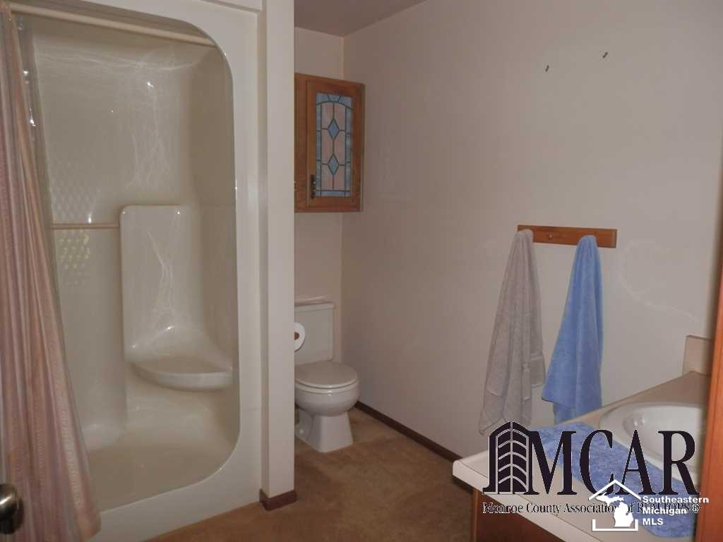 10933 North Custer Road Monroe, MI 48162 - Photo 26 of 31 Full Bath Lower