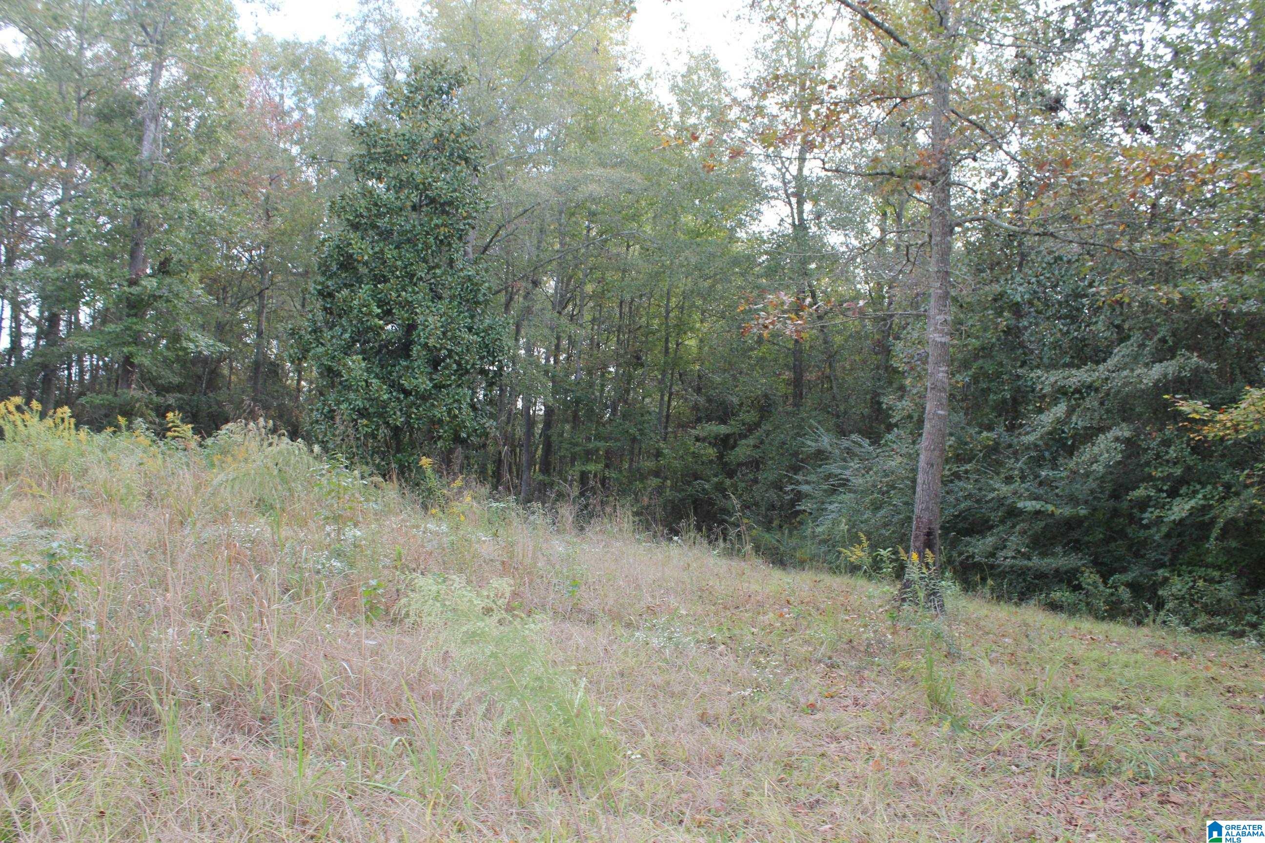 0 Highway 191 Jemison, AL 35085 - Photo 5 of 5
