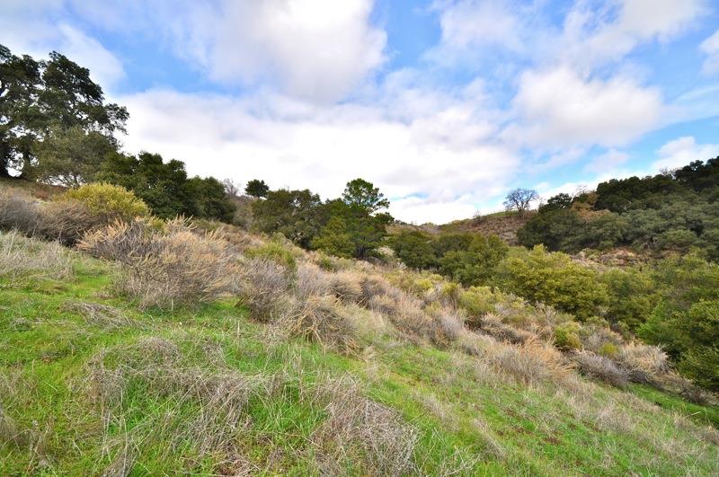 0 Mt Eden Road Saratoga, CA 95070 - Photo 26 of 27