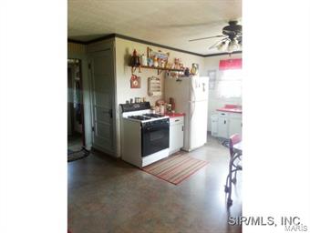 11117 Hickory Flat Road Highland, IL 62249 - Photo 3 of 11 Gallery Image 3