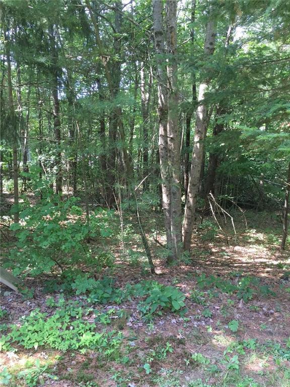 16 Hemon Cobb Road Windham, ME 04062 - Photo 4 of 8 Level land in back yard