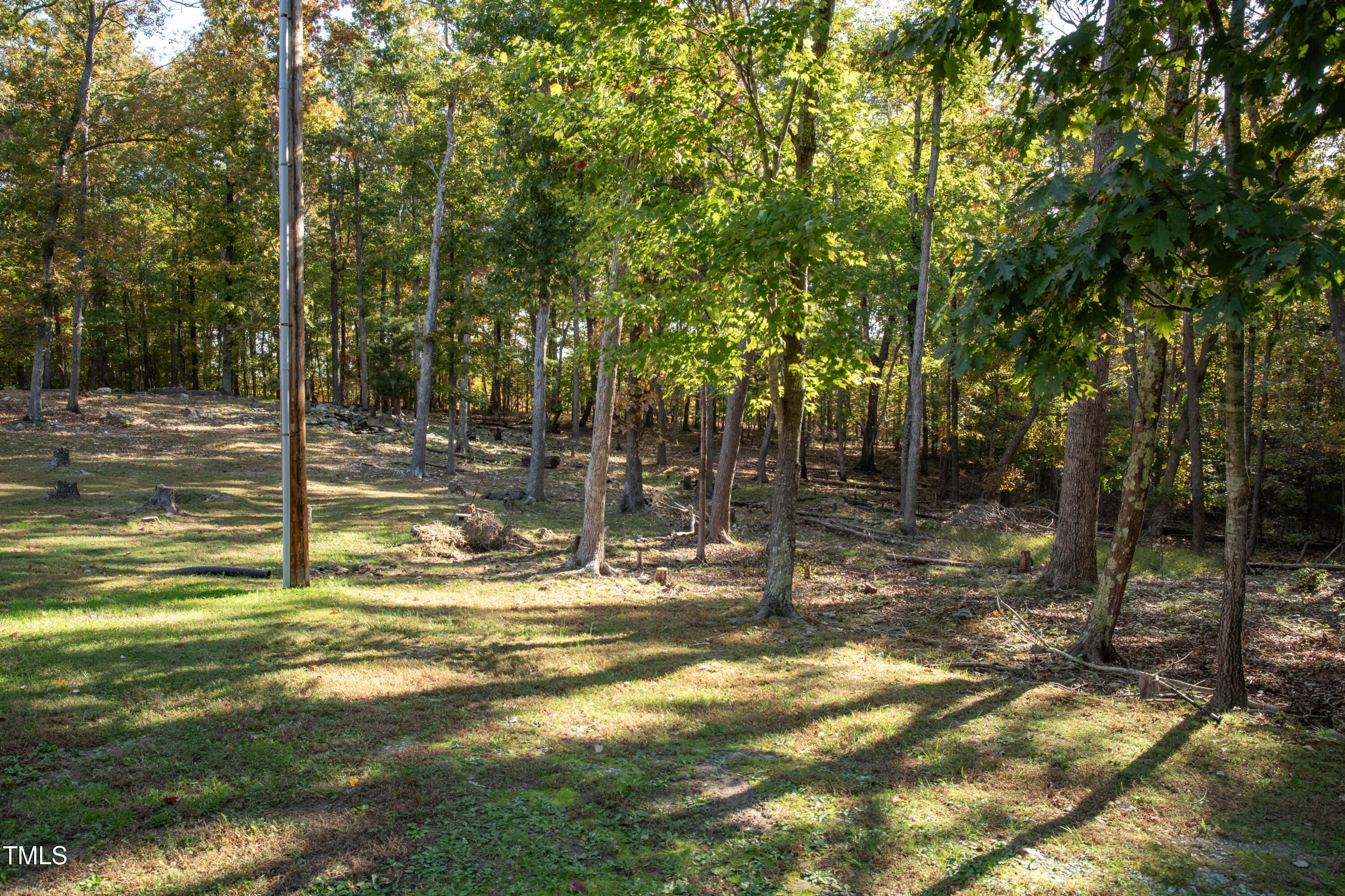253 Cothran Hicks Road Rougemont, NC 27572 - Photo 11 of 48 a view of a yard with swimming pool