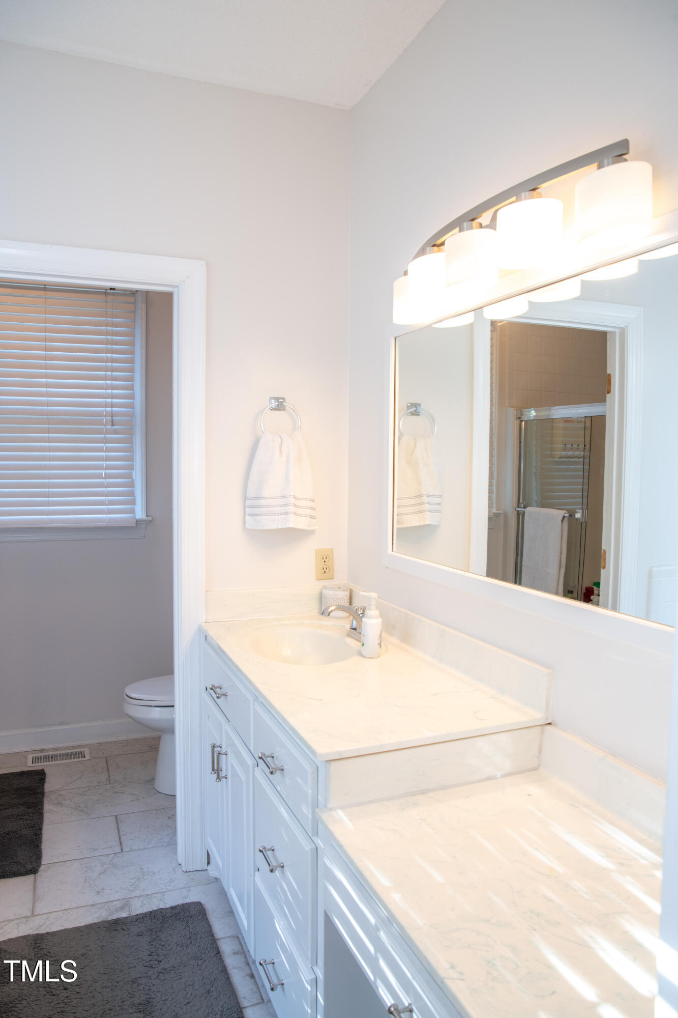 253 Cothran Hicks Road Rougemont, NC 27572 - Photo 27 of 48 a bathroom with a sink a toilet and a mirror