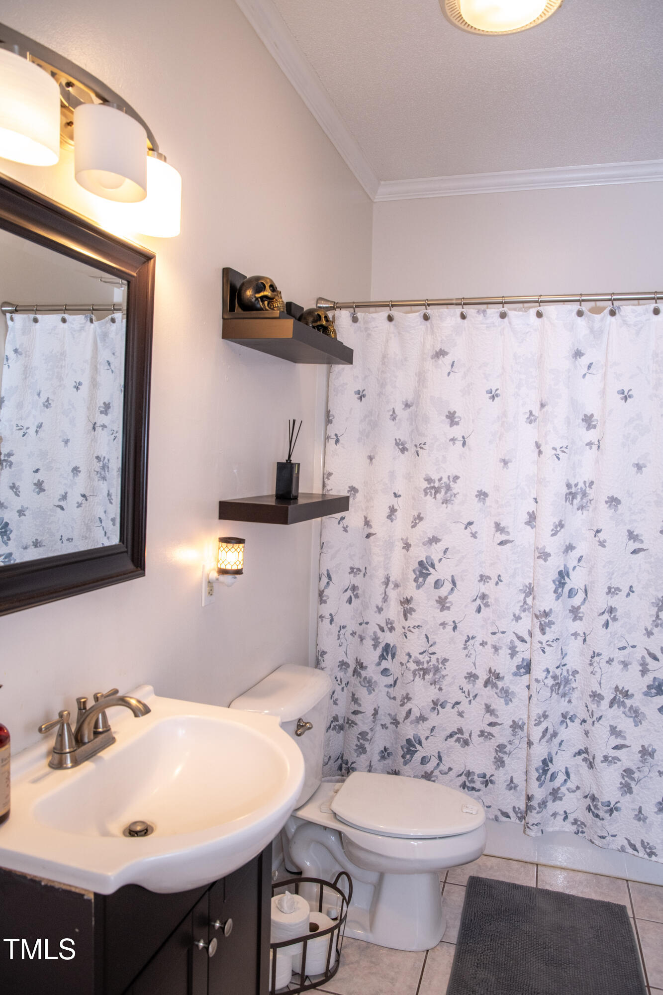 253 Cothran Hicks Road Rougemont, NC 27572 - Photo 42 of 48 a bathroom with a sink and a toilet