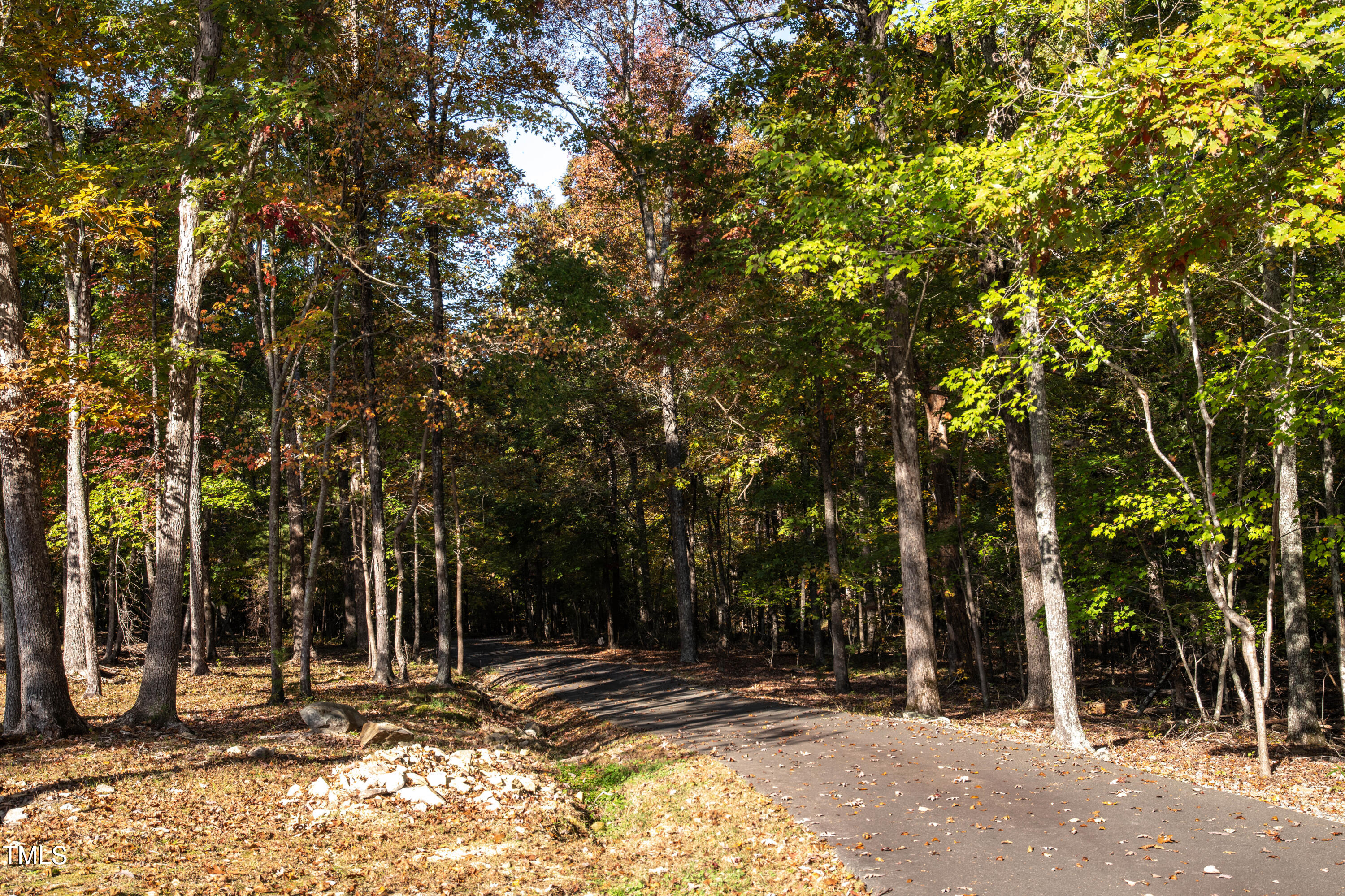 253 Cothran Hicks Road Rougemont, NC 27572 - Photo 46 of 48 a view of outdoor space with trees