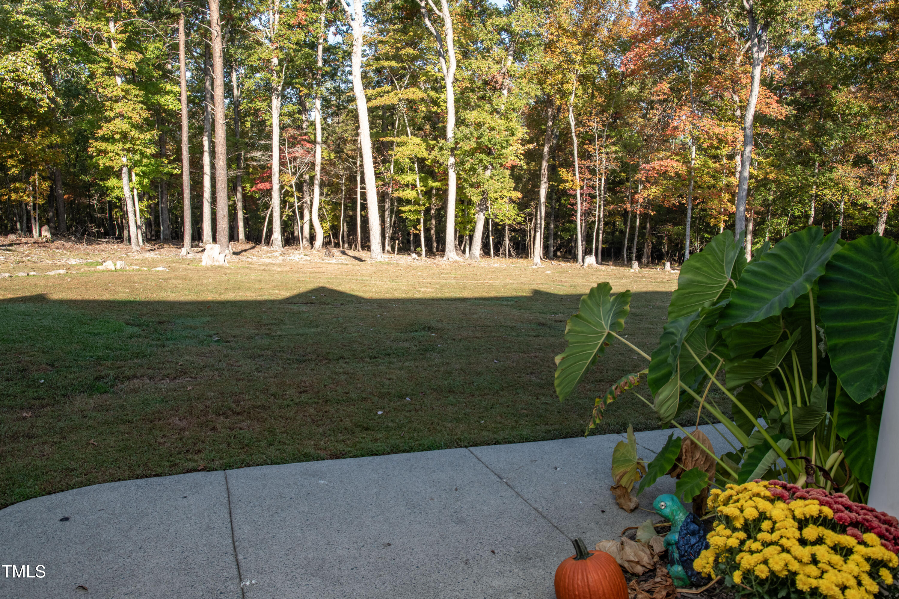 253 Cothran Hicks Road Rougemont, NC 27572 - Photo 8 of 48 a view of swimming pool with a garden