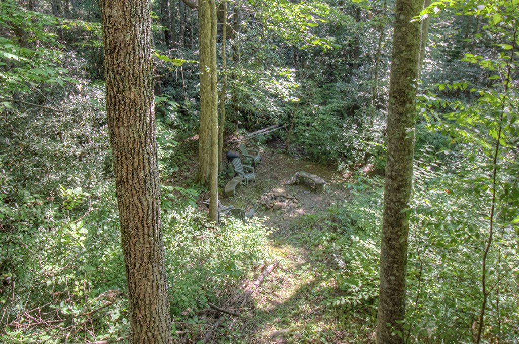 142 Rivendell Lane Tellico Plains, TN 37385 - Photo 26 of 57 Gallery Image 26