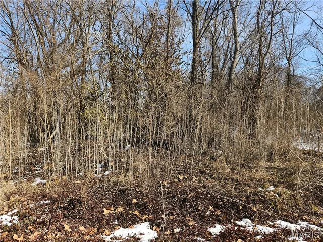 $36,000 | 1926 North 60th Street, East St. Louis, IL 62204