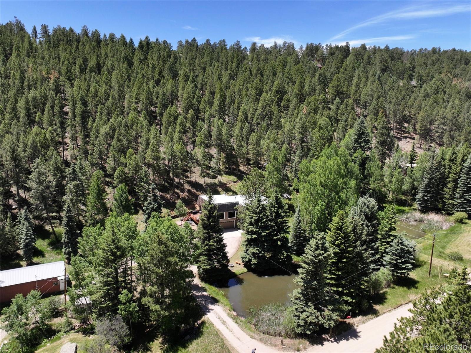 384 Brookside Drive Bailey, CO 80421 - Photo 44 of 50