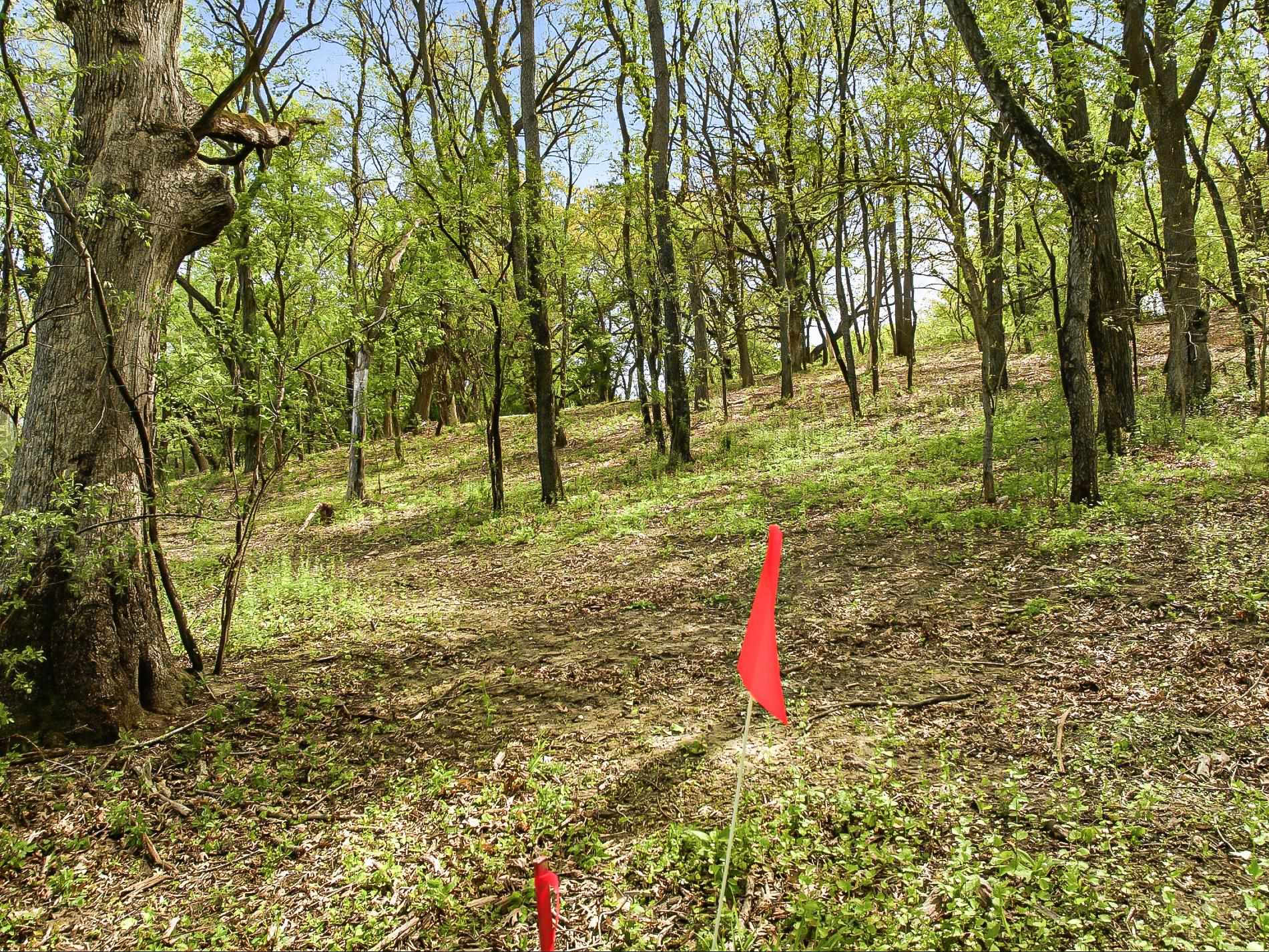 N4087 County Rd A Cambridge, WI 53523 - Photo 6 of 11 Gallery Image 6