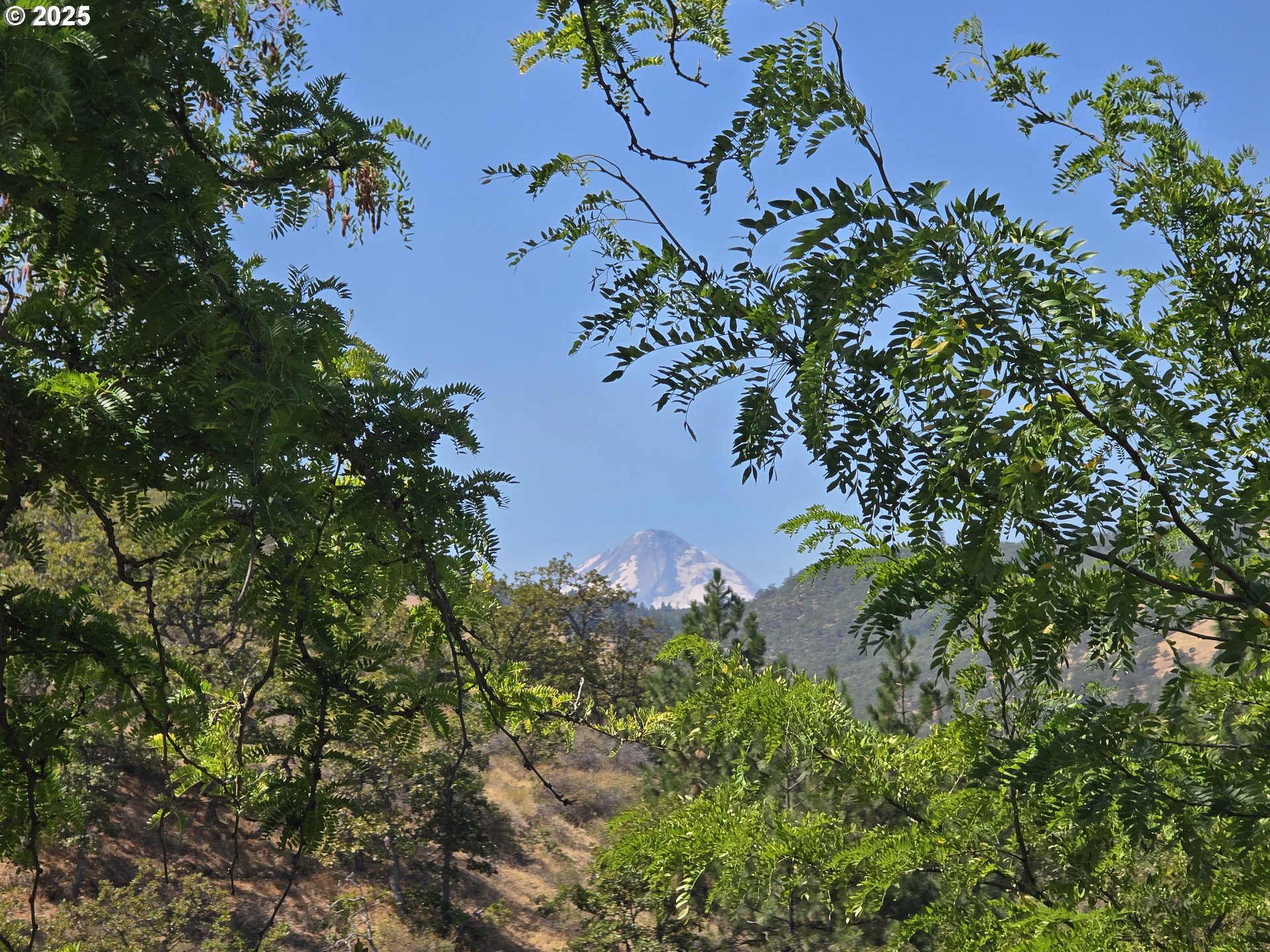 6412 Cherry Heights Road The Dalles, OR 97058 - Photo 37 of 48