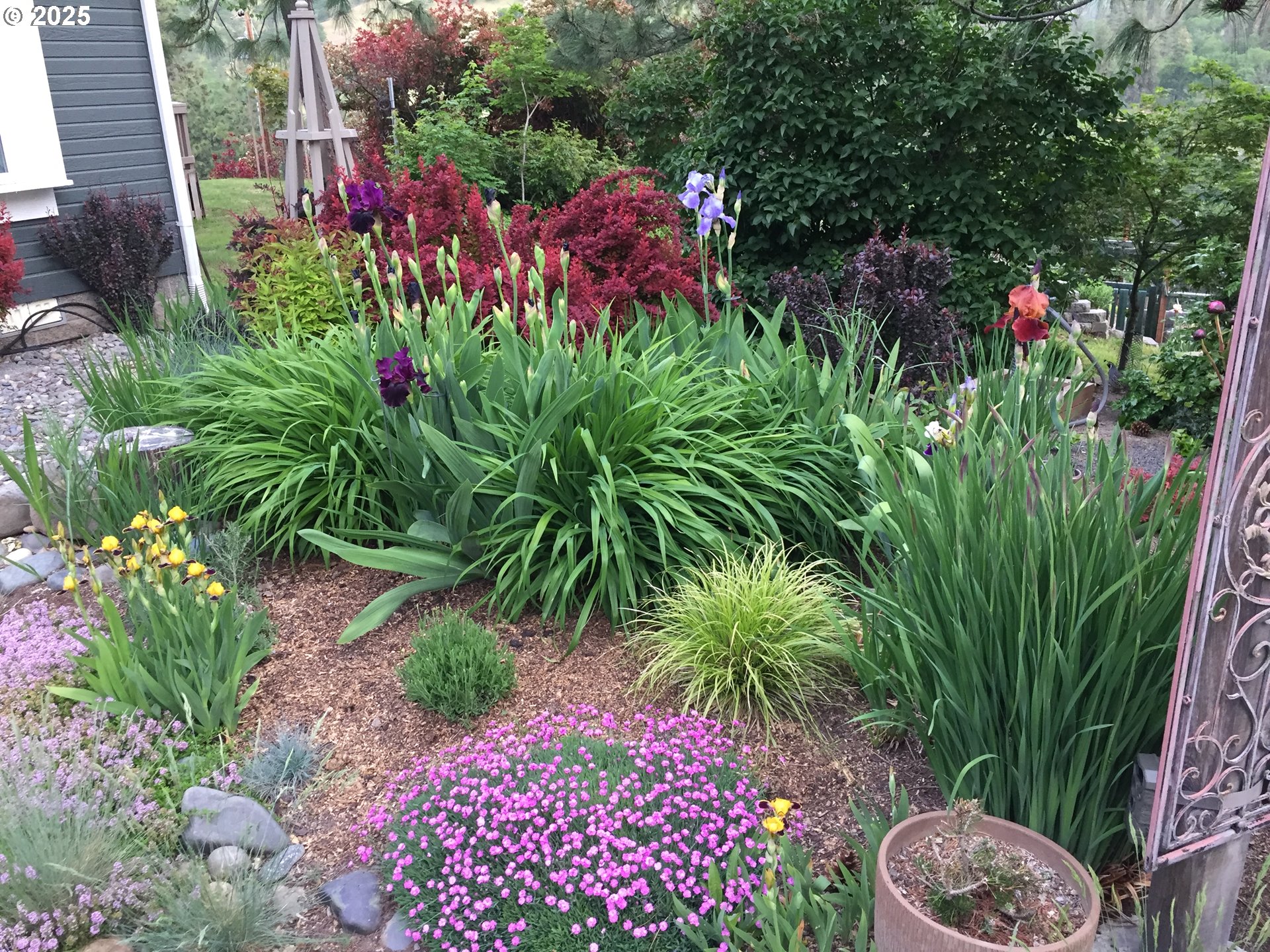 6412 Cherry Heights Road The Dalles, OR 97058 - Photo 42 of 48